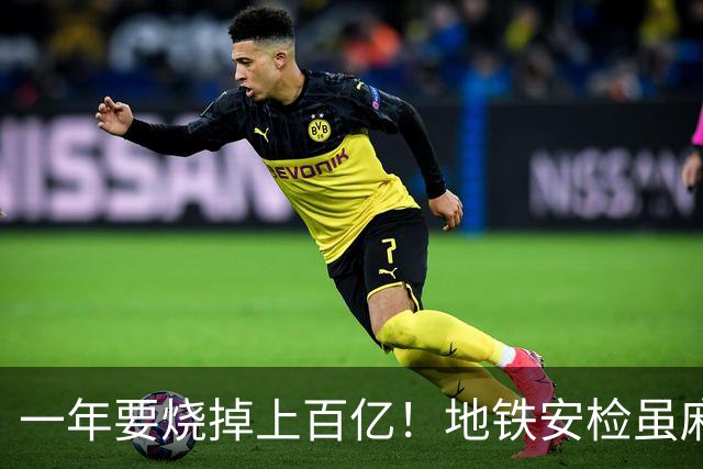 一年要烧掉上百亿！地铁安检虽麻烦，但是却养活几十万人就业